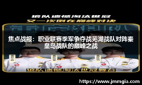 焦点战报：职业联赛季军争夺战芜湖战队对阵秦皇岛战队的巅峰之战